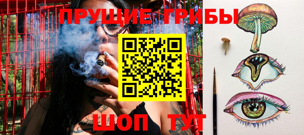 Псилоцибиновые грибы мухоморы  Вход с VPN  Псилоцибиновые грибы Psilocybe  Волхов 